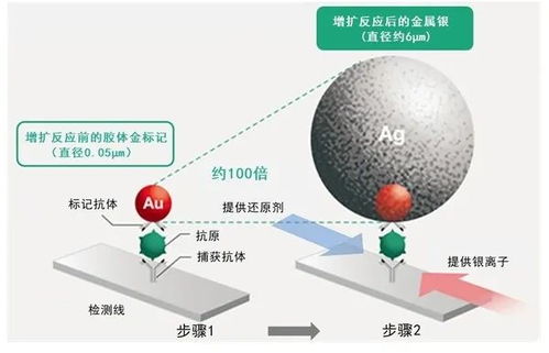 富士膠片開發(fā)高靈敏新冠檢測試劑盒 銀擴增技術(shù)的技術(shù)創(chuàng)新與水源領(lǐng)域的交叉應用